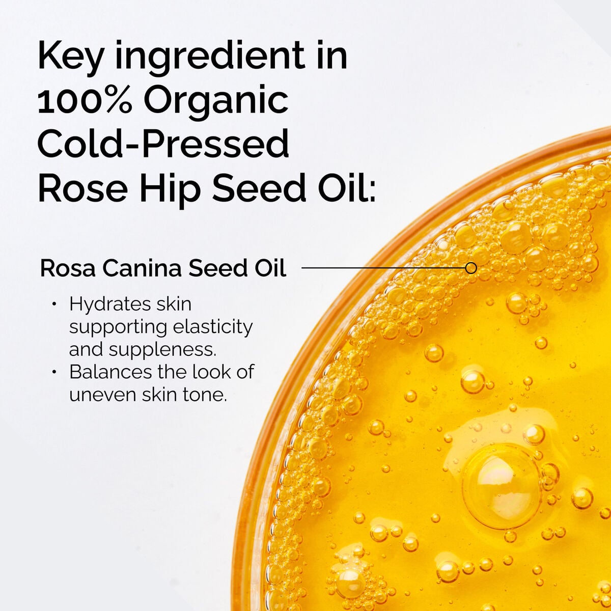 100-organic-cold-pressed-rose-hip-seed-oil-i3 FY25-D41247-ORD-Web-PDP-100-Rose-Hip-Oil-1x1-EN-2.jpg
