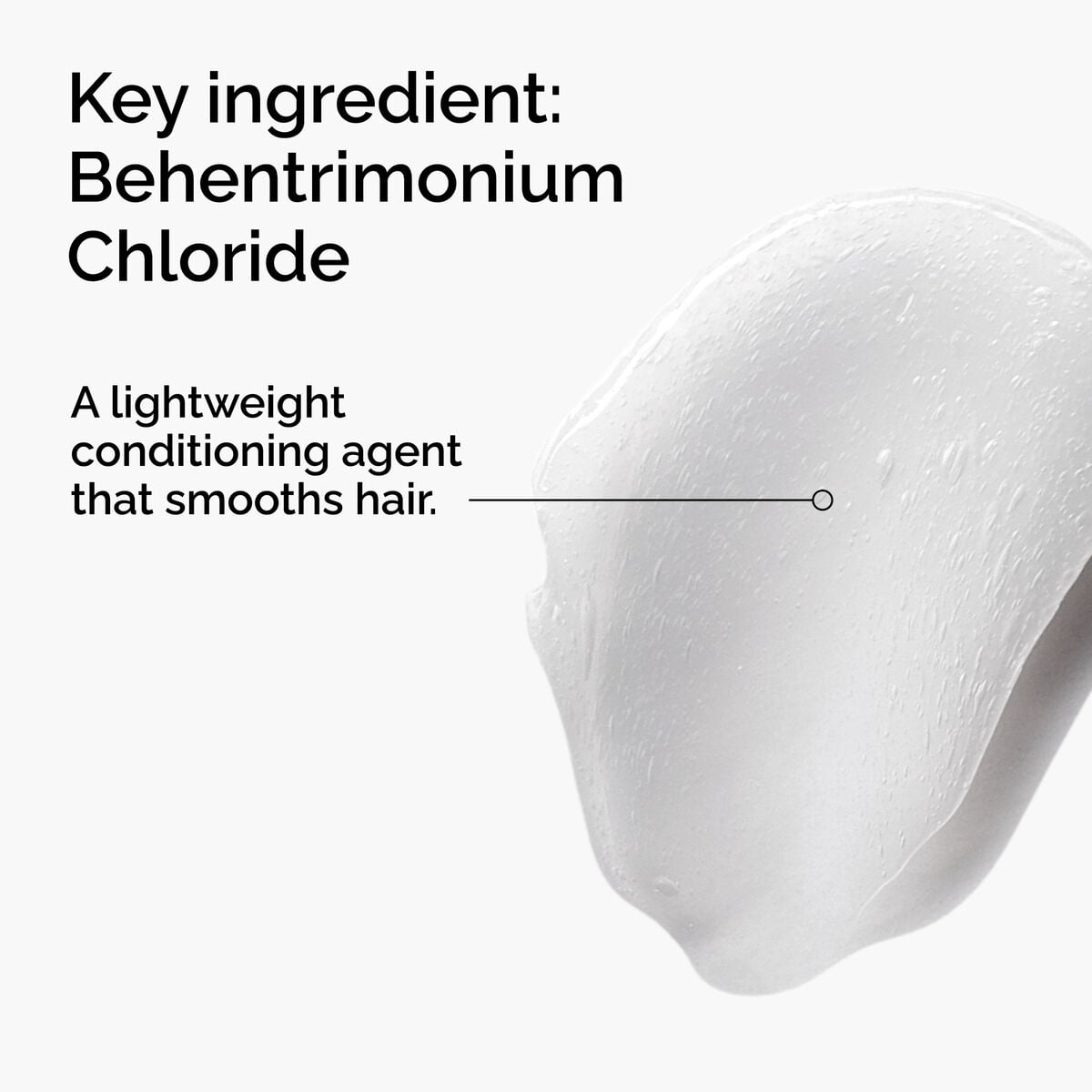 behentrimonium-chloride-2-conditioner-b0 FY25-D41247-ORD-Web-PDP-BTC-1x1-EN-2a.jpg