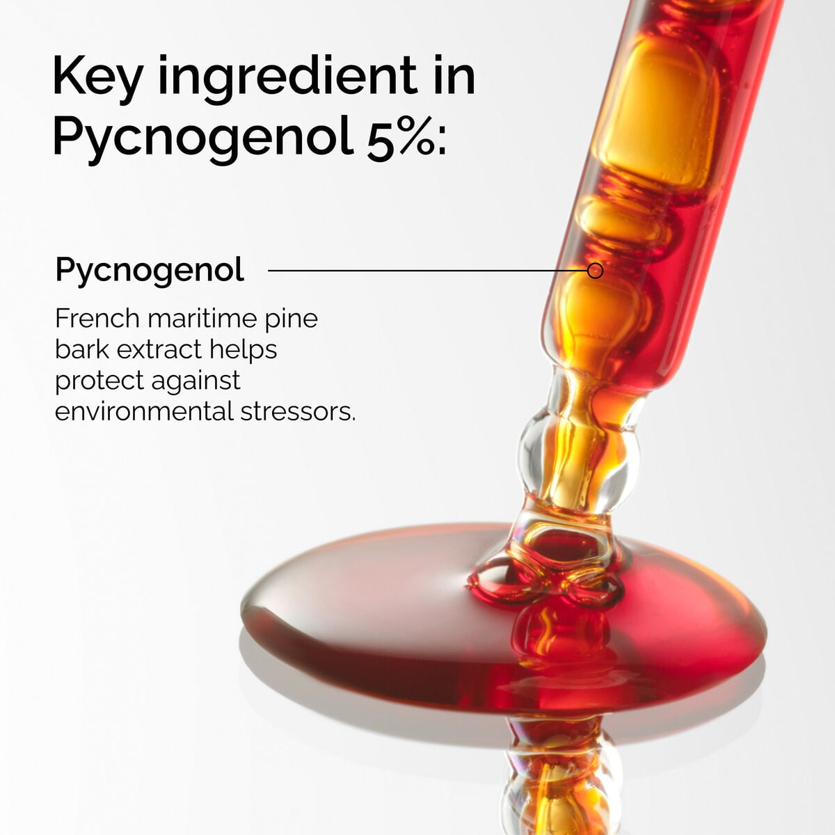 pycnogenol-5-n8 FY25-D41247-ORD-Web-PDP-Pyc-5pct-1x1-EN-2a.jpg