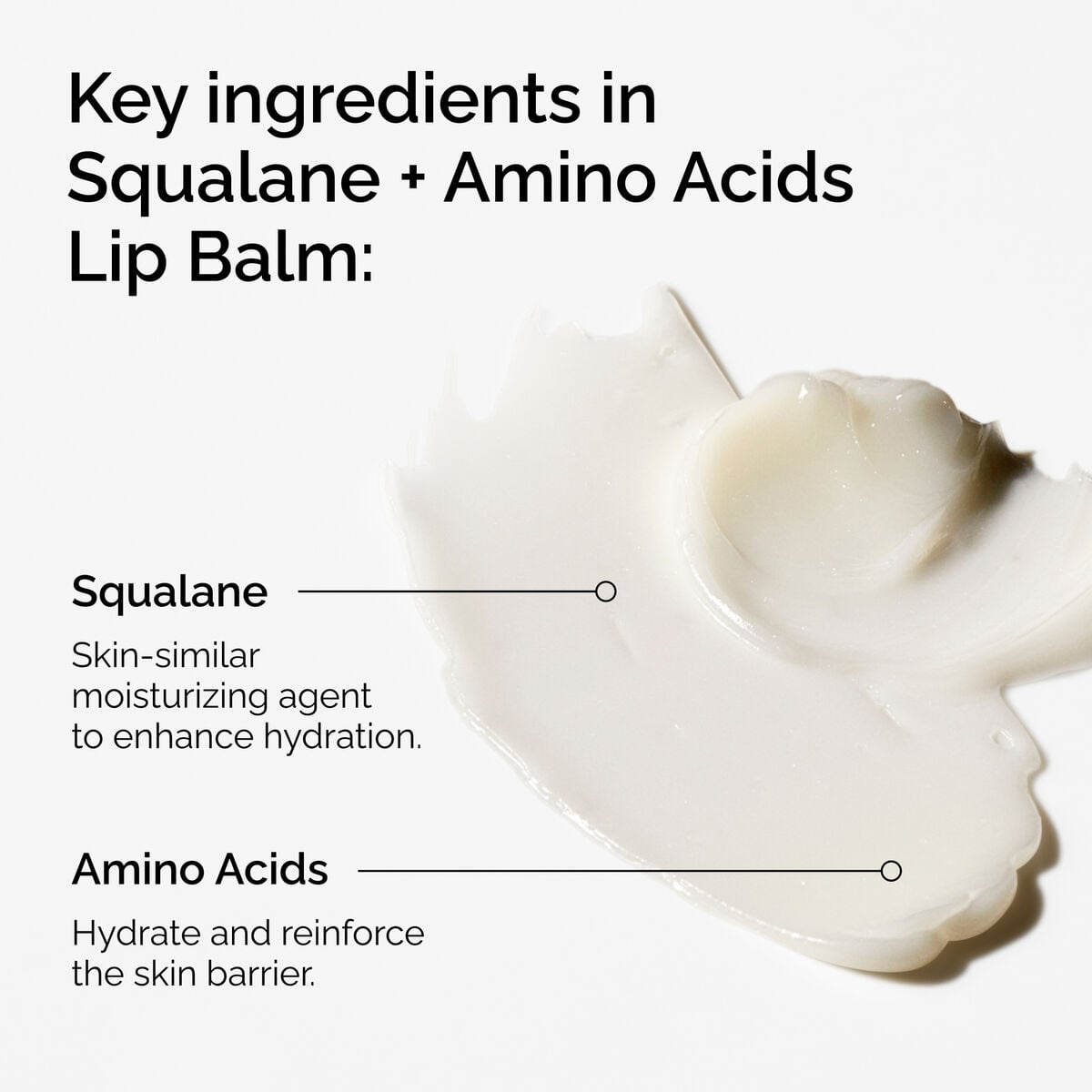 squalane-amino-acids-lip-balm-c6 FY25-D41247-ORD-Web-PDP-Sql-Amino-Lip-1x1-EN-2a.jpg