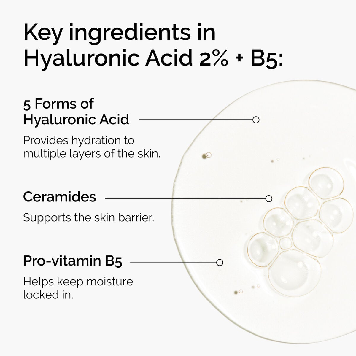hyaluronic-acid-2-b5-with-ceramides-n6 ord-hyaluronic-acid-2pct-b5-hydrating-serum-ingredients-graphic.jpg