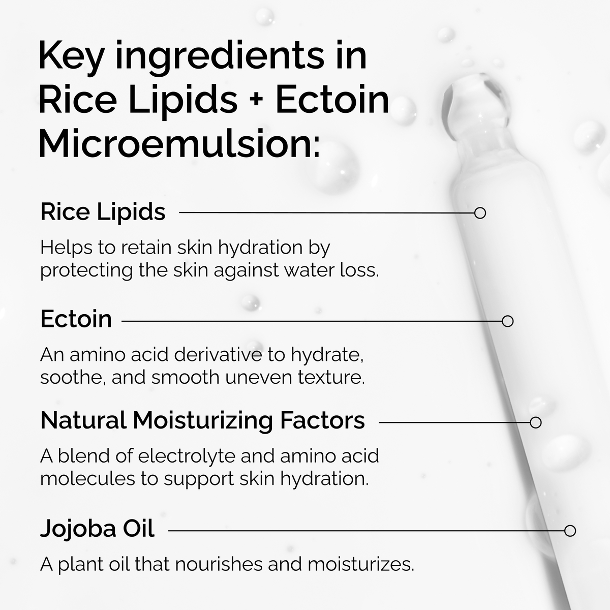 rice-lipids-ectoin-microemulsion-y4 ord-rice-lipids-ectoin-microemulsion-key-ingredients.png