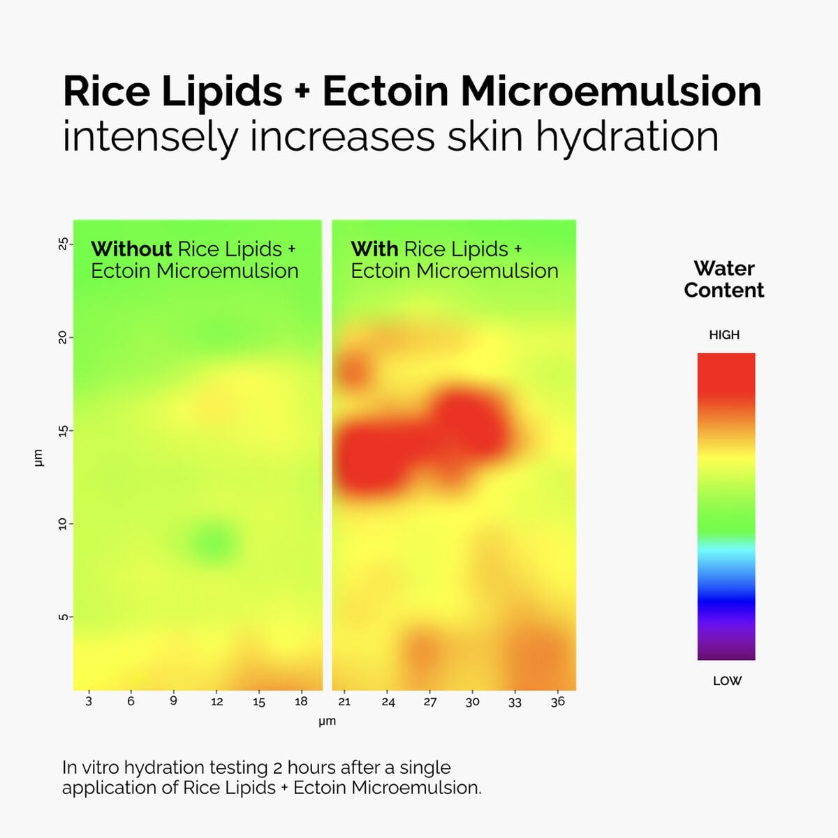 rice-lipids-ectoin-microemulsion-y4 ord-rice-lipids-ectoin-microemulsion-thermal-before-after.jpg